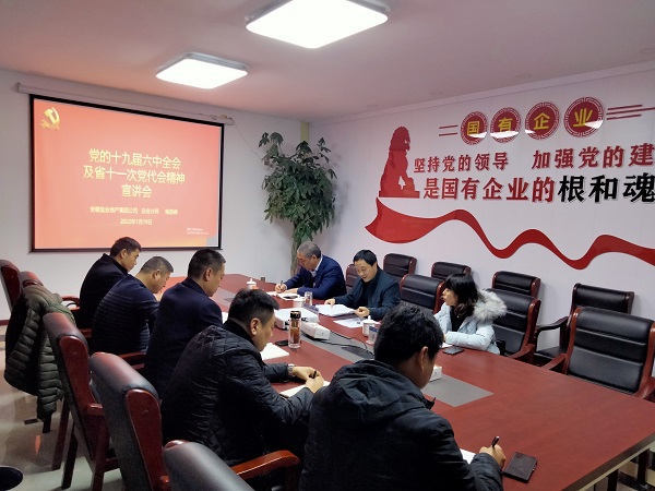 徽鹽地產(chǎn)公司總會(huì )計師楊蔚峰到泗縣項目公司宣講十九屆六中全會(huì )及省十一次黨代會(huì )精神